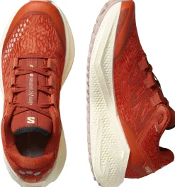 Salomon Women's Aero Glide 3 Grvl Burnt Ochre/vanilla Ice/etherea