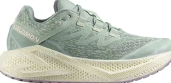 Salomon Women's Aero Glide 3 Grvl Sea Foam/vanilla Ice/nirvana
