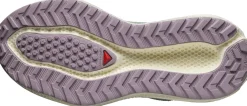 Salomon Women's Aero Glide 3 Grvl Sea Foam/vanilla Ice/nirvana