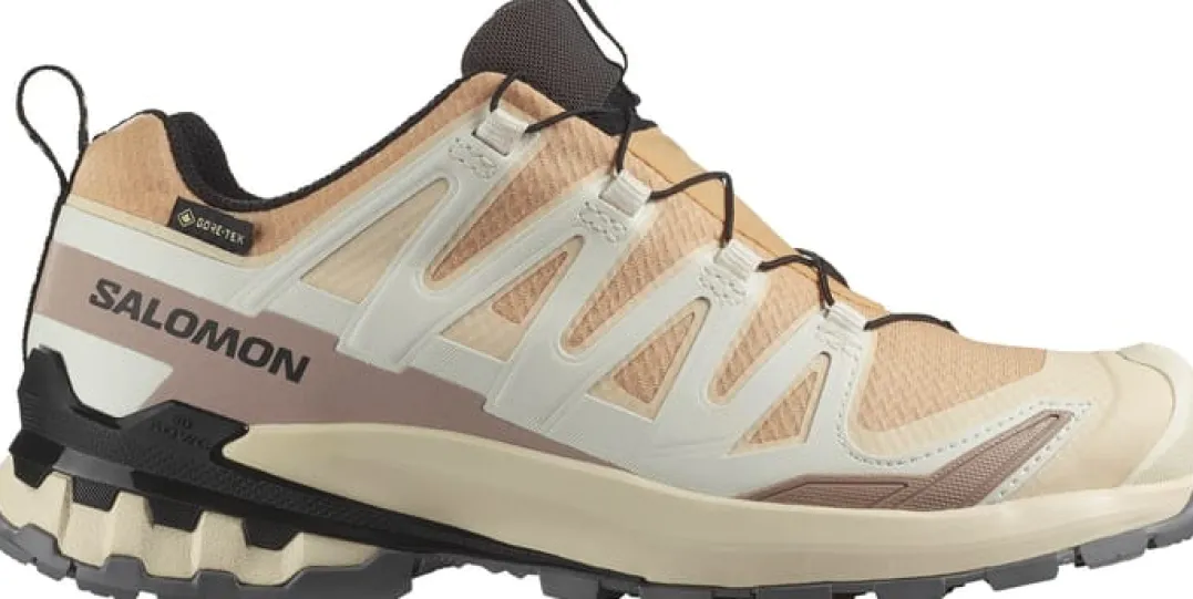 Salomon Women's XA Pro 3d V9 GORE-TEX Hazelnut / Tender Peach / Black