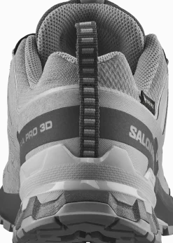 Salomon Women's XA Pro 3d V9 GORE-TEX Alloy / Castlerock / Lunar Rock