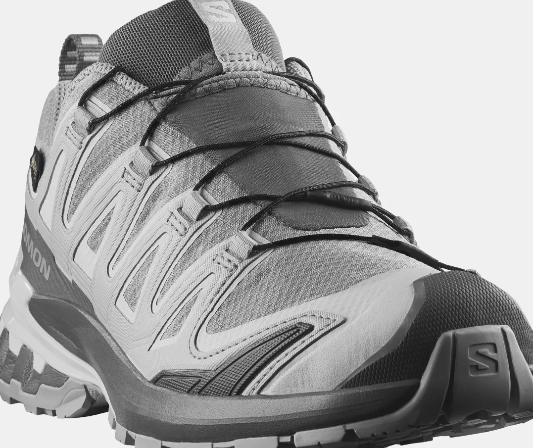 Salomon Women's XA Pro 3d V9 GORE-TEX Alloy / Castlerock / Lunar Rock