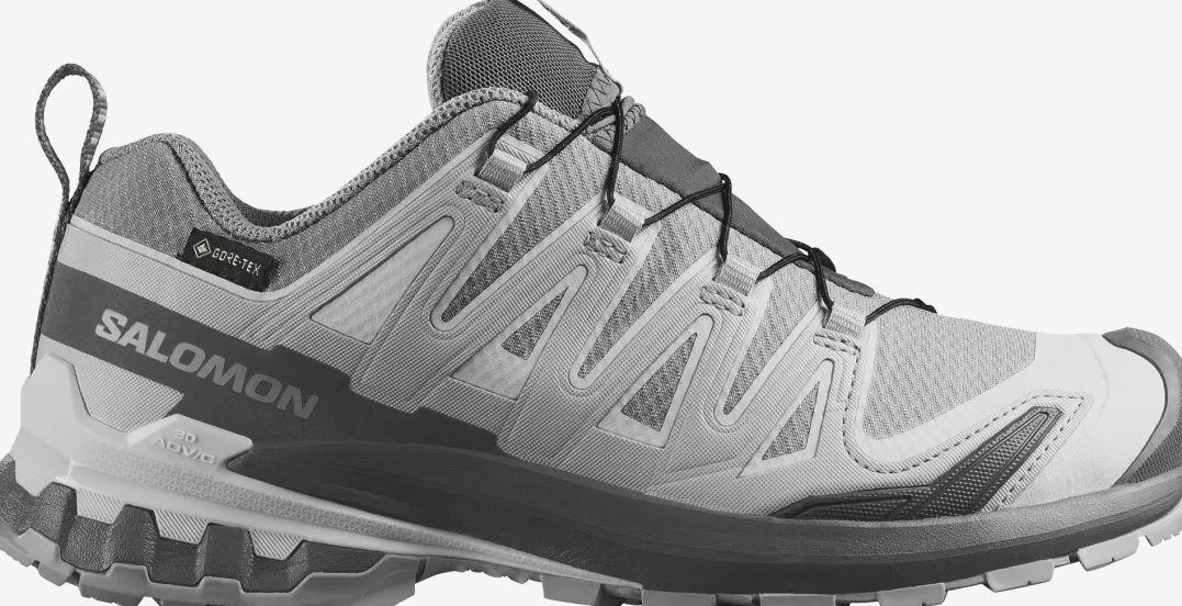 Salomon Women's XA Pro 3d V9 GORE-TEX Alloy / Castlerock / Lunar Rock