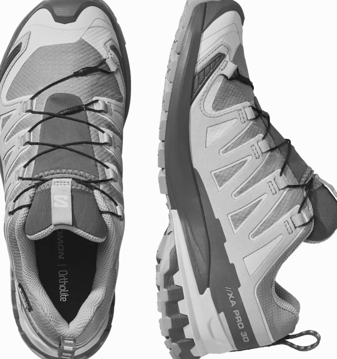 Salomon Women's XA Pro 3d V9 GORE-TEX Alloy / Castlerock / Lunar Rock