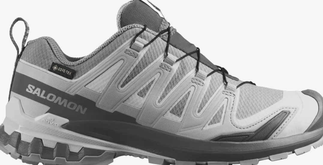 Salomon Women's XA Pro 3d V9 GORE-TEX Alloy / Castlerock / Lunar Rock