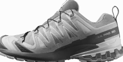 Salomon Women's XA Pro 3d V9 GORE-TEX Alloy / Castlerock / Lunar Rock