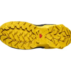 Salomon X Ultra Mid Gore-Tex Castlerock/black/spicy Mustard