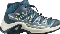 Salomon X Ultra Mid Gore-Tex Grisaille/Spellbound/Butterfly