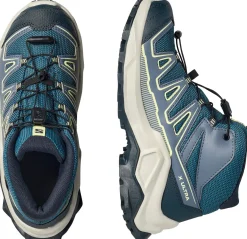 Salomon X Ultra Mid Gore-Tex Grisaille/Spellbound/Butterfly