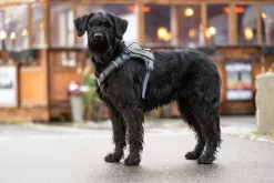 Seleverkstedet Comfort dog harness Grå/brun