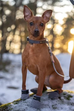 Seleverkstedet Seleverkstedet Fleece grey dog boot 4pk Grå/svart