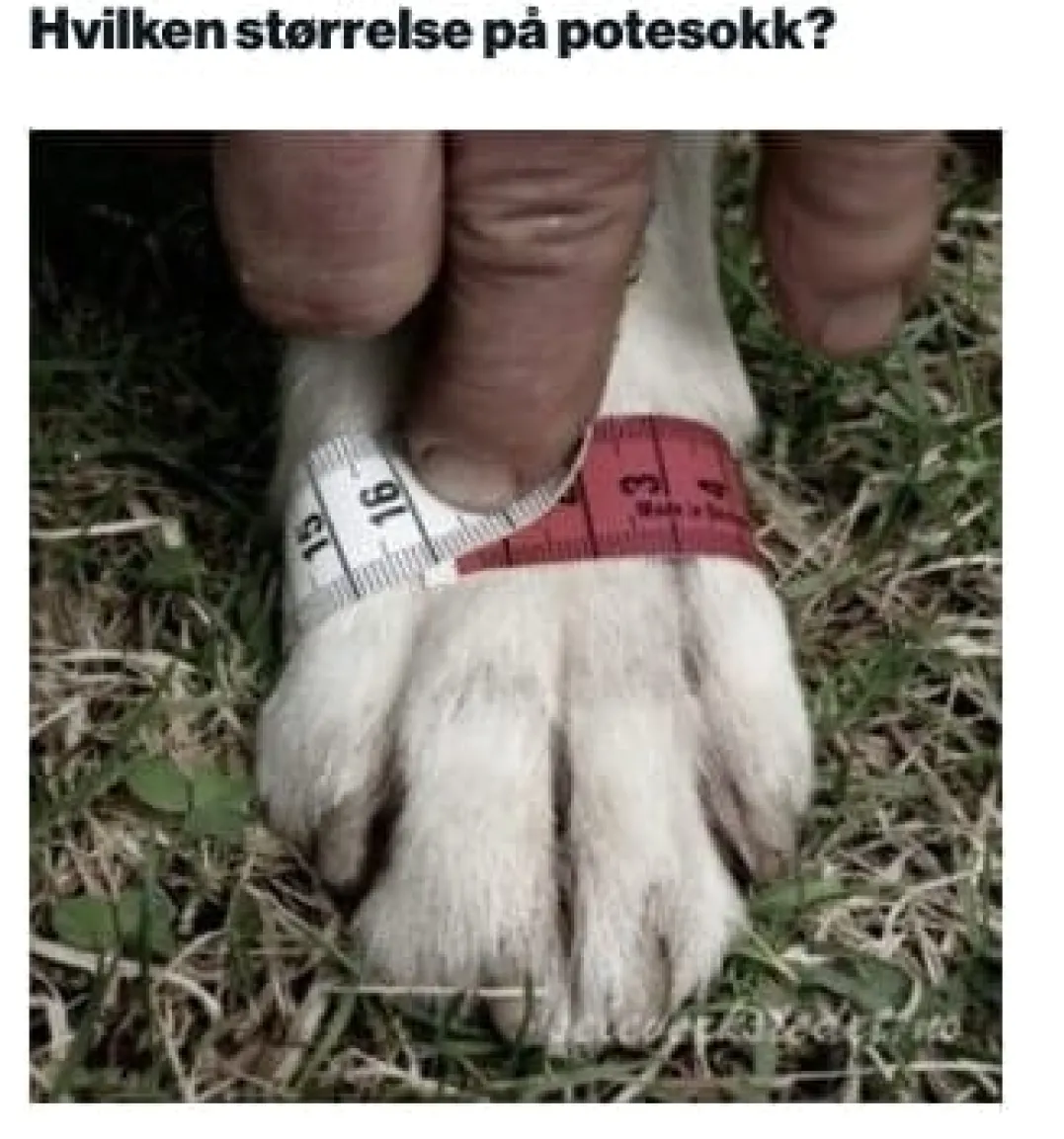 Seleverkstedet Seleverkstedet Fleece grey dog boot 4pk Grå/svart