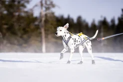 Seleverkstedet Seleverkstedet Nome racing dog harness Grå/svart/gul