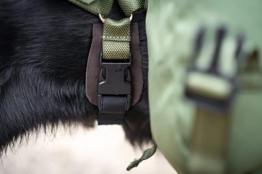 Seleverkstedet Togo hundekløv Grønn/brun Mini+