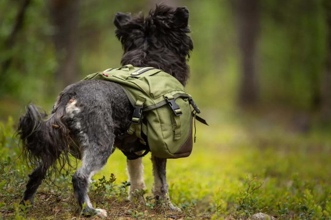 Seleverkstedet Togo hundekløv Grønn/brun Mini+