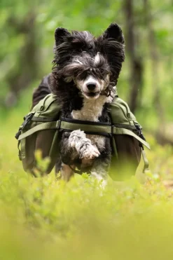 Seleverkstedet Togo hundekløv Grønn/brun Mini+
