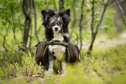 Seleverkstedet Togo hundekløv Grønn/brun Mini+
