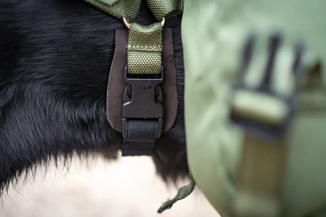 Seleverkstedet Togo hundekløv Grønn/brun XL