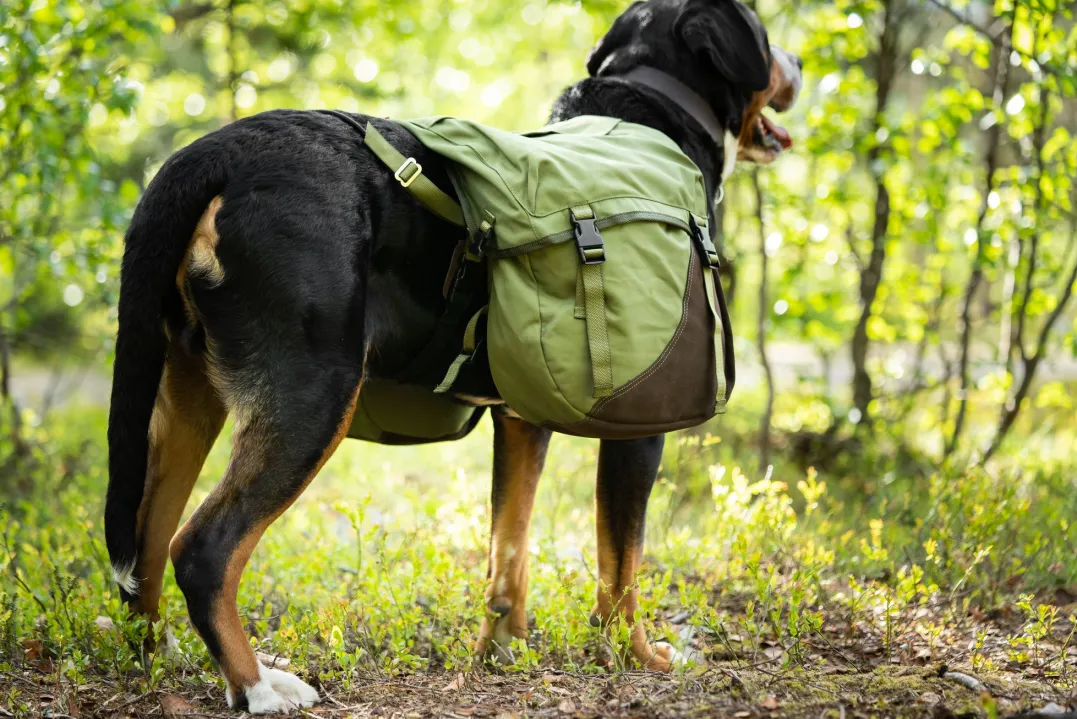 Seleverkstedet Togo hundekløv Grønn/brun XL