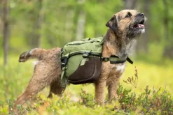 Seleverkstedet Togo hundekløv Grønn/brun Mini