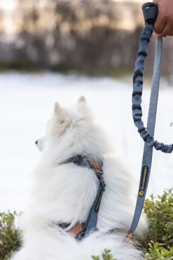Seleverkstedet Trekreg dog harness Grå/brun XS