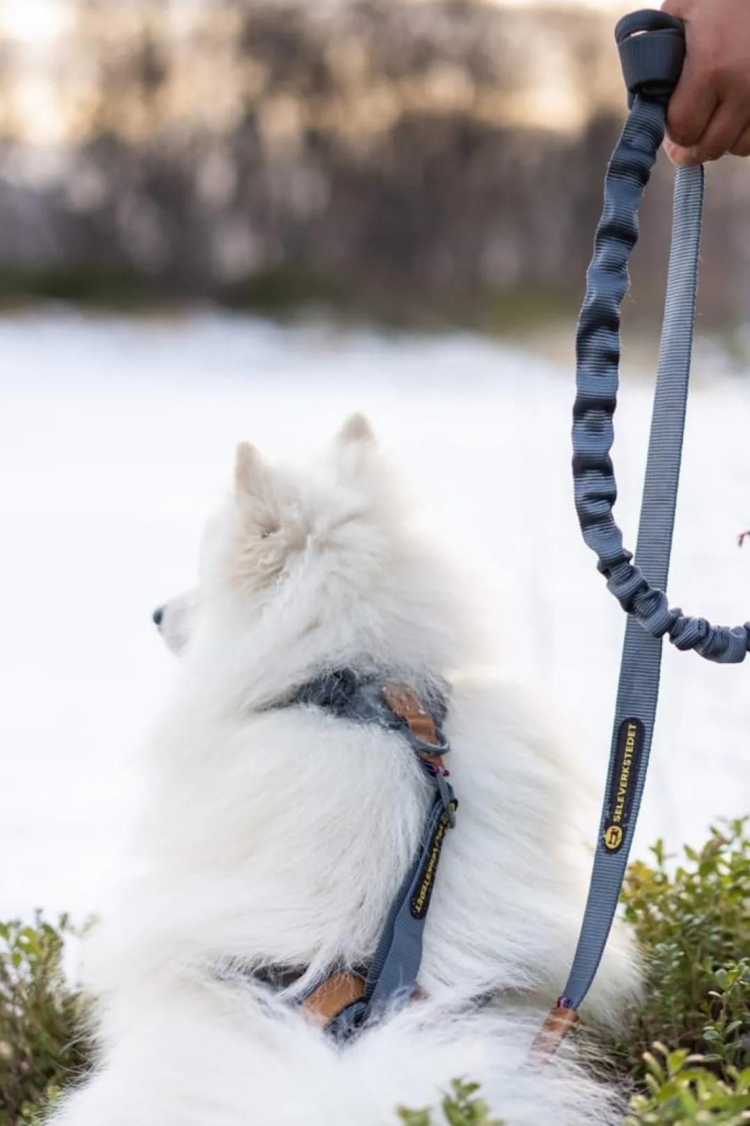 Seleverkstedet Trekreg dog harness Grå/brun XXS
