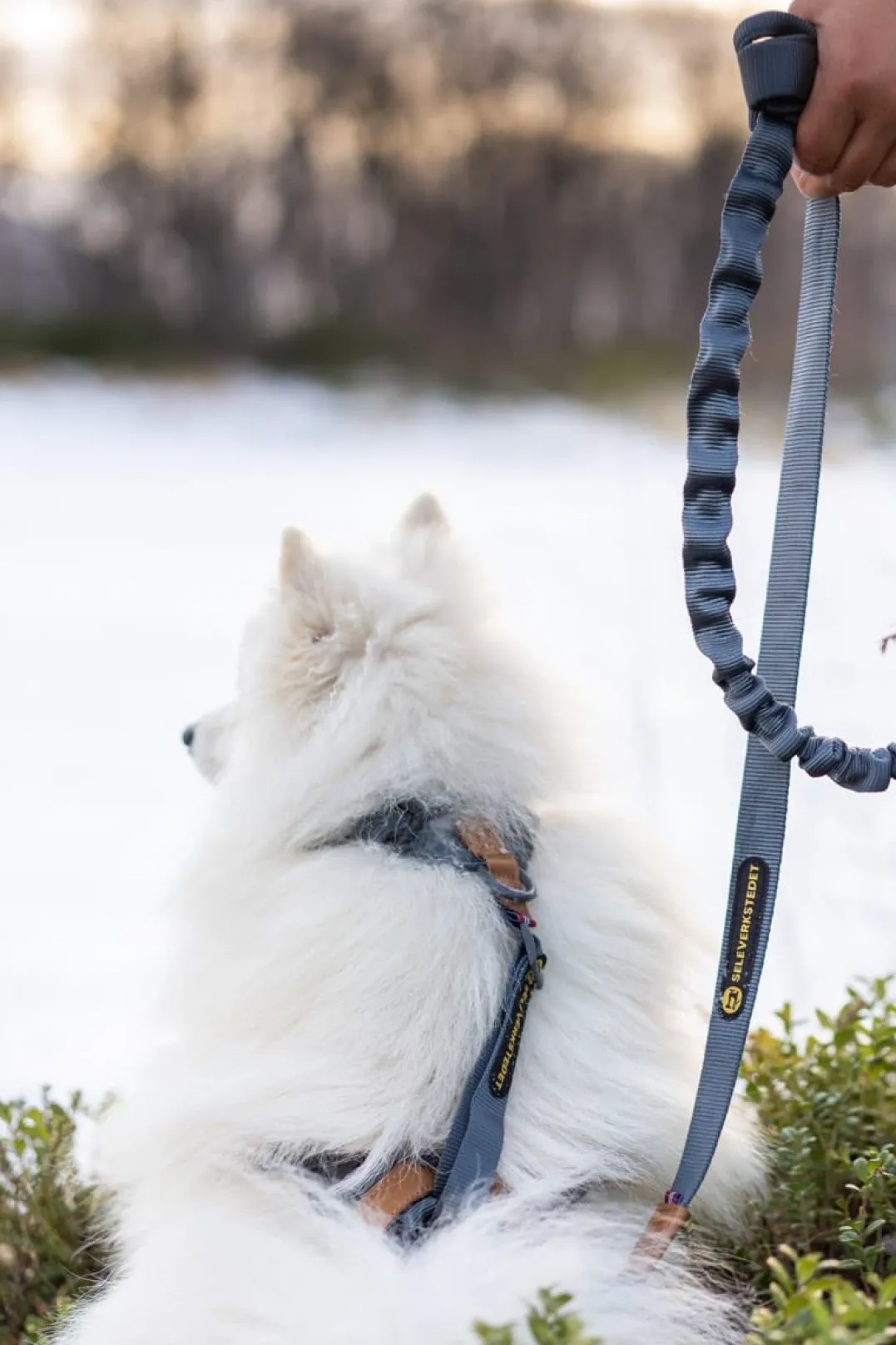 Seleverkstedet Trekreg dog harness Grå/brun XXS