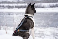 Seleverkstedet Trekreg dog harness Grå/brun XXS