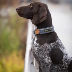 Seleverkstedet Unify dog collar Grå/brun