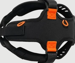 Silva Ignite Head Mount