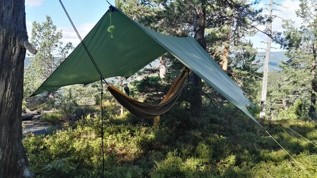 Sydvang Tarp 9 Green
