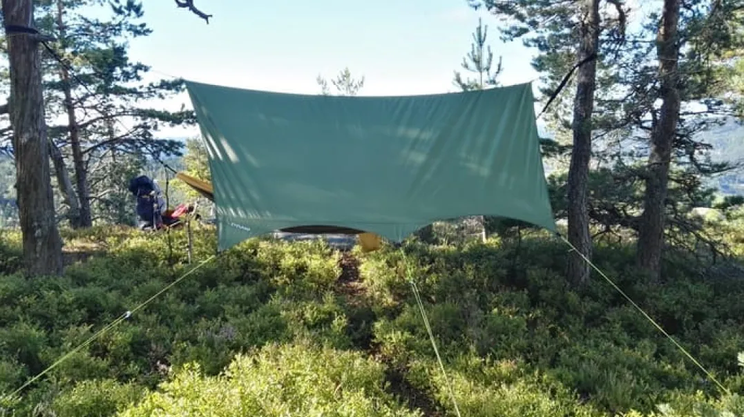 Sydvang Tarp 9 Green