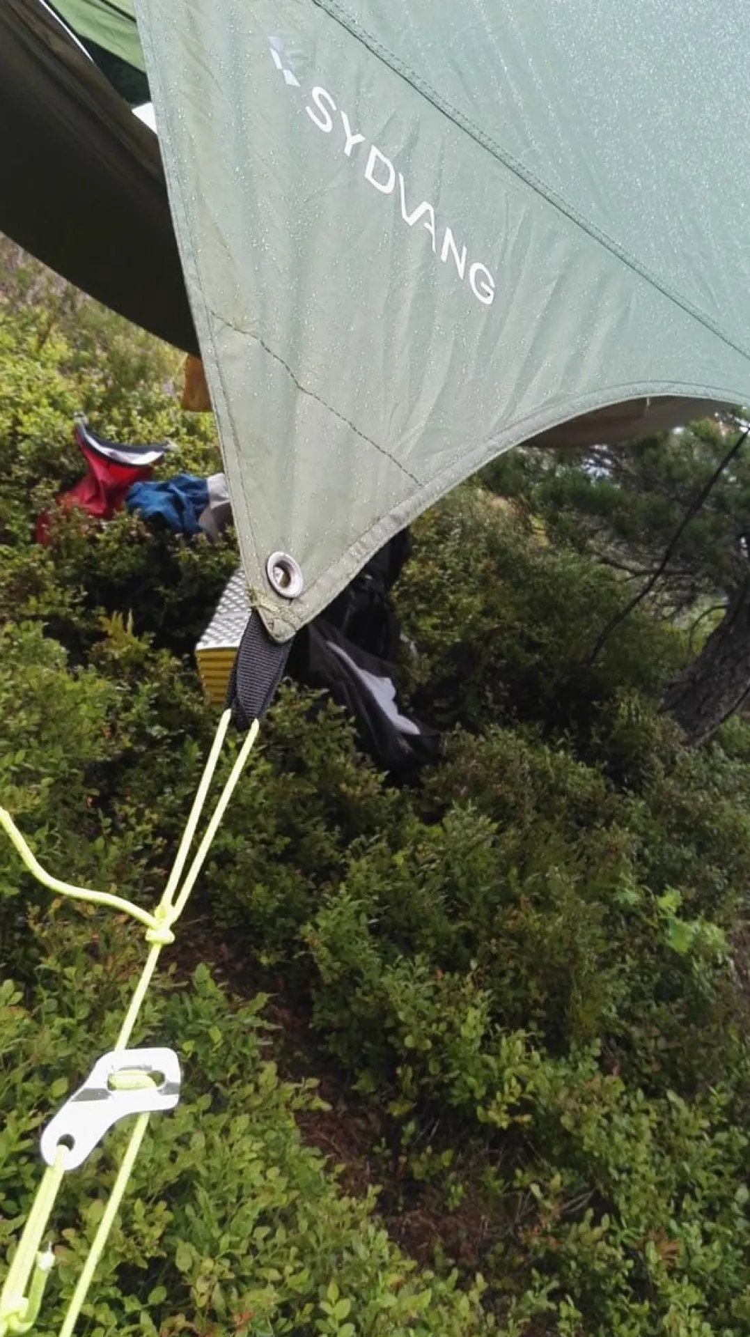 Sydvang Tarp 9 Green