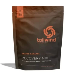 Tailwind Nutrition Rebuild Recovery Saltet Caramel