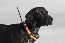 Tracker Artemis Black