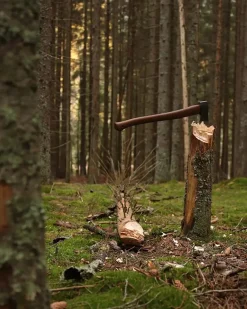 Øyo Skogsøksa 26